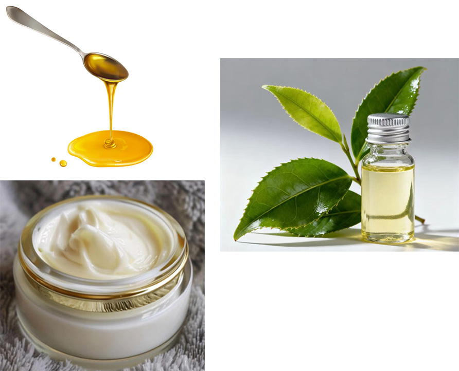 Máquina llenadora de líquidos para salsas de alta viscosidad, máquina llenadora con bomba de rotor de un solo cabezal, máquina llenadora de pastas